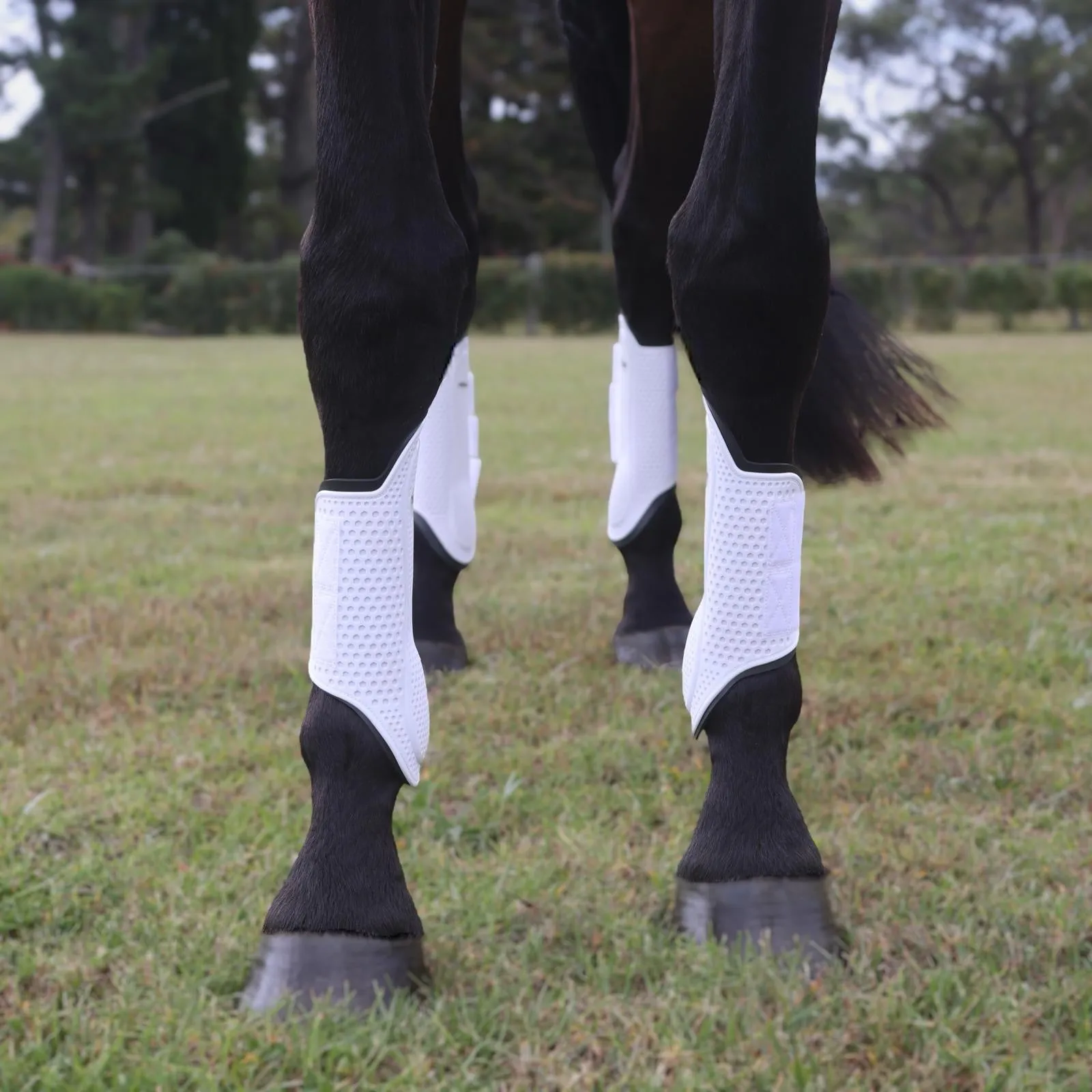 Flexible Filly Splint Boots