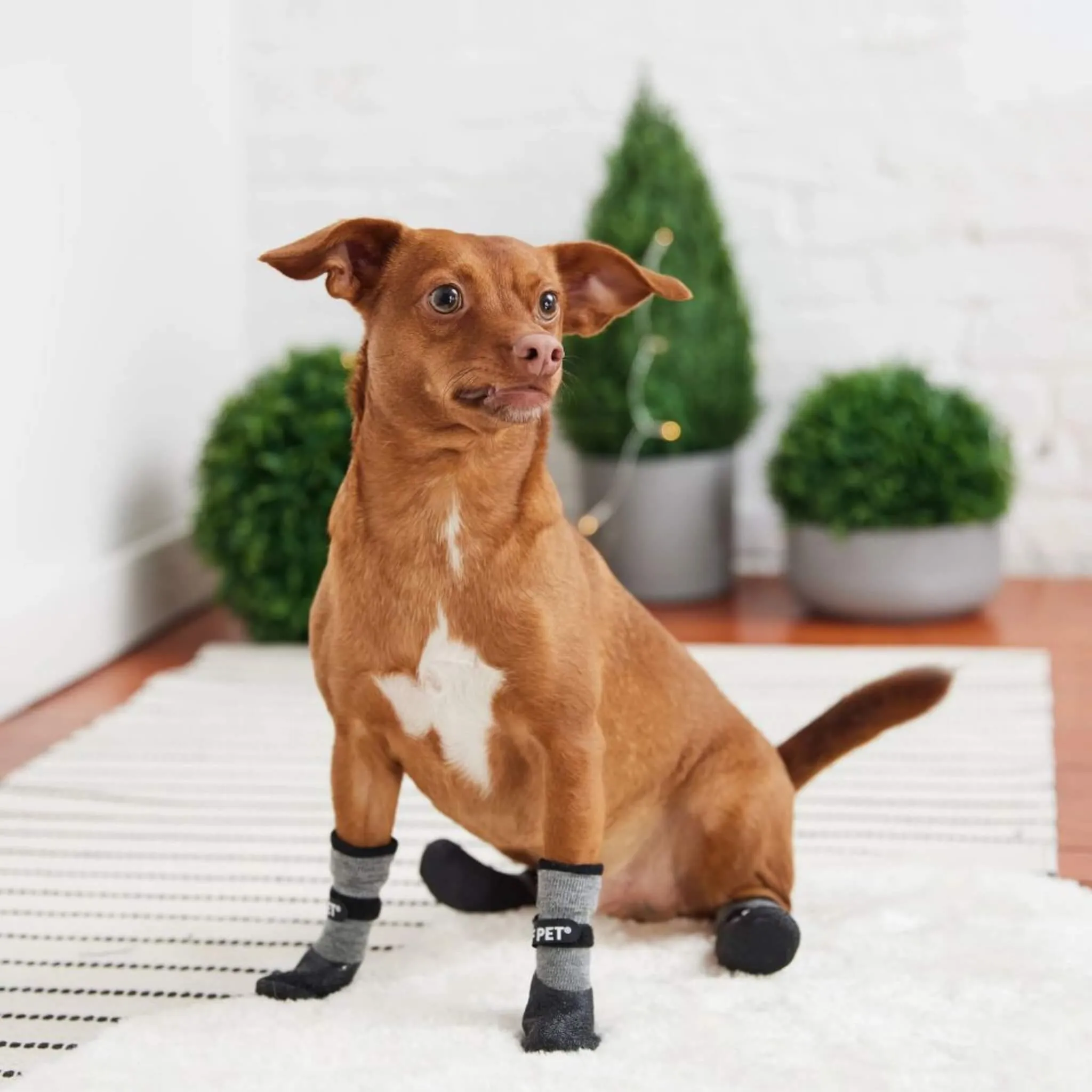 GF Pet All Terrain Dog Boots