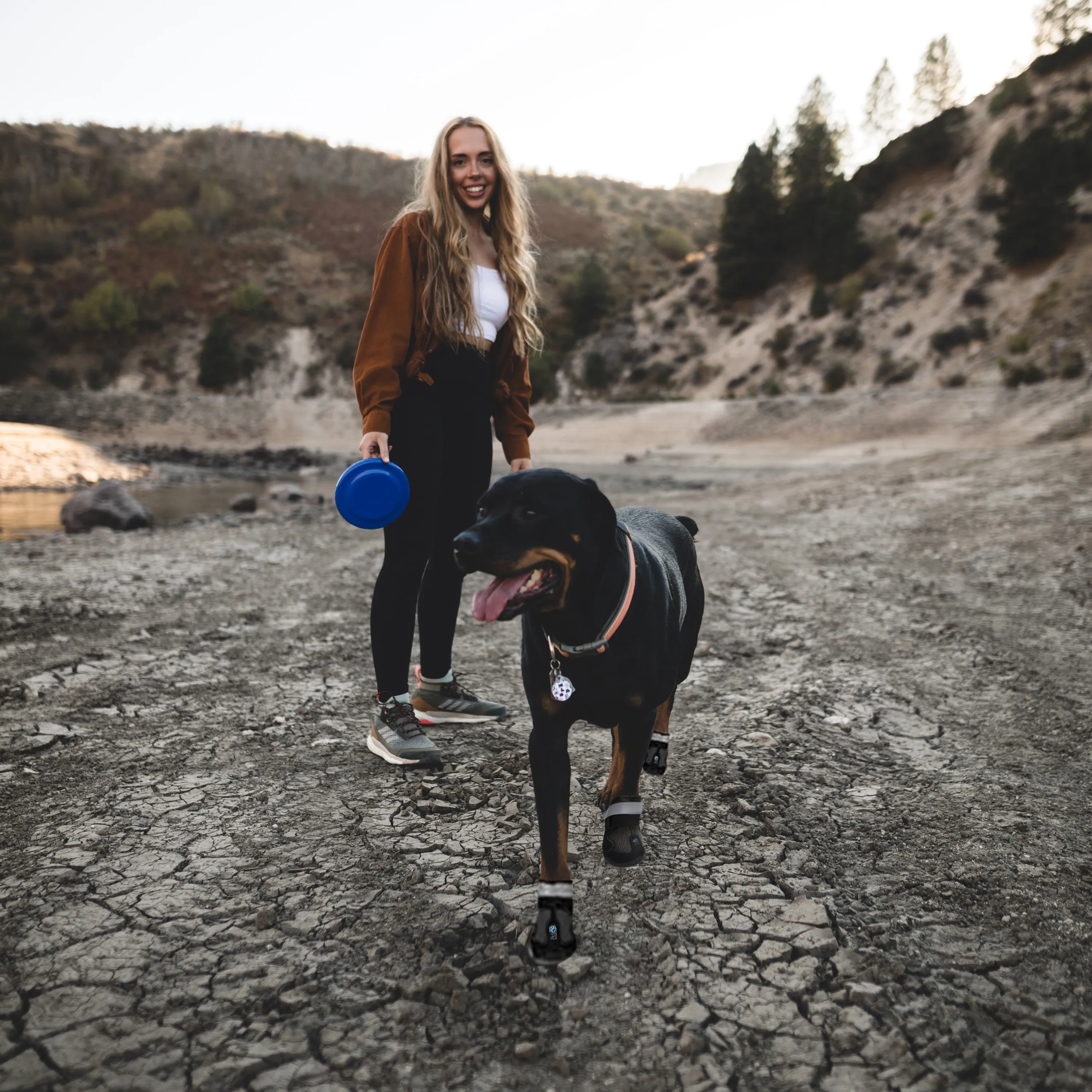 Large Dog Boots