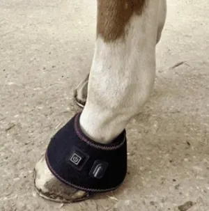 SALE SALE REDUCED!! Equine Infrared Pro Range Red Light Therapy Hoof Boots Wireless BUILT IN battery