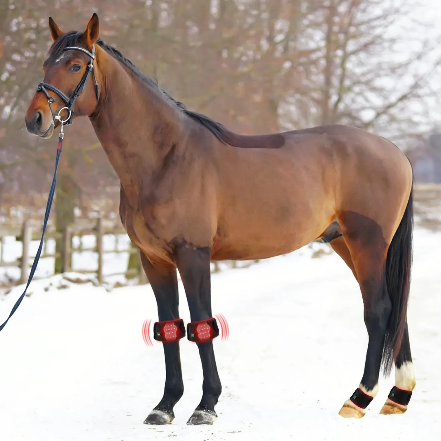 SALE SALE REDUCED!! Equine Infrared Pro Range Red Light Therapy Hoof Boots Wireless BUILT IN battery